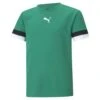 Maillot Enfant Puma Team Liga