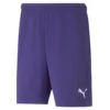 Short Puma Team Rise 2 Short Puma Team Rise -Sport Vêtements Magasin 704942 10 0 puma pum 704942 10 imagefront
