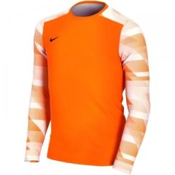 Maillot De Gardien ML Enfant Nike Dry Park IV