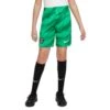 Nike Short De Gardien Enfant PSG Strike 2023/24 -Sport Vêtements Magasin nike dx2790 324 vert stade malachite blanc 1