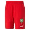 Puma Short Domicile Maroc 2023 -Sport Vêtements Magasin puma 765817 01 0