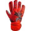 Gants De Gardien Enfant Reusch Attrakt Grip -Sport Vêtements Magasin reusch 5372815 3334 0 00